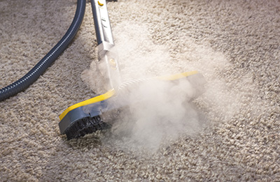 What You Need To Clean Your Carpet